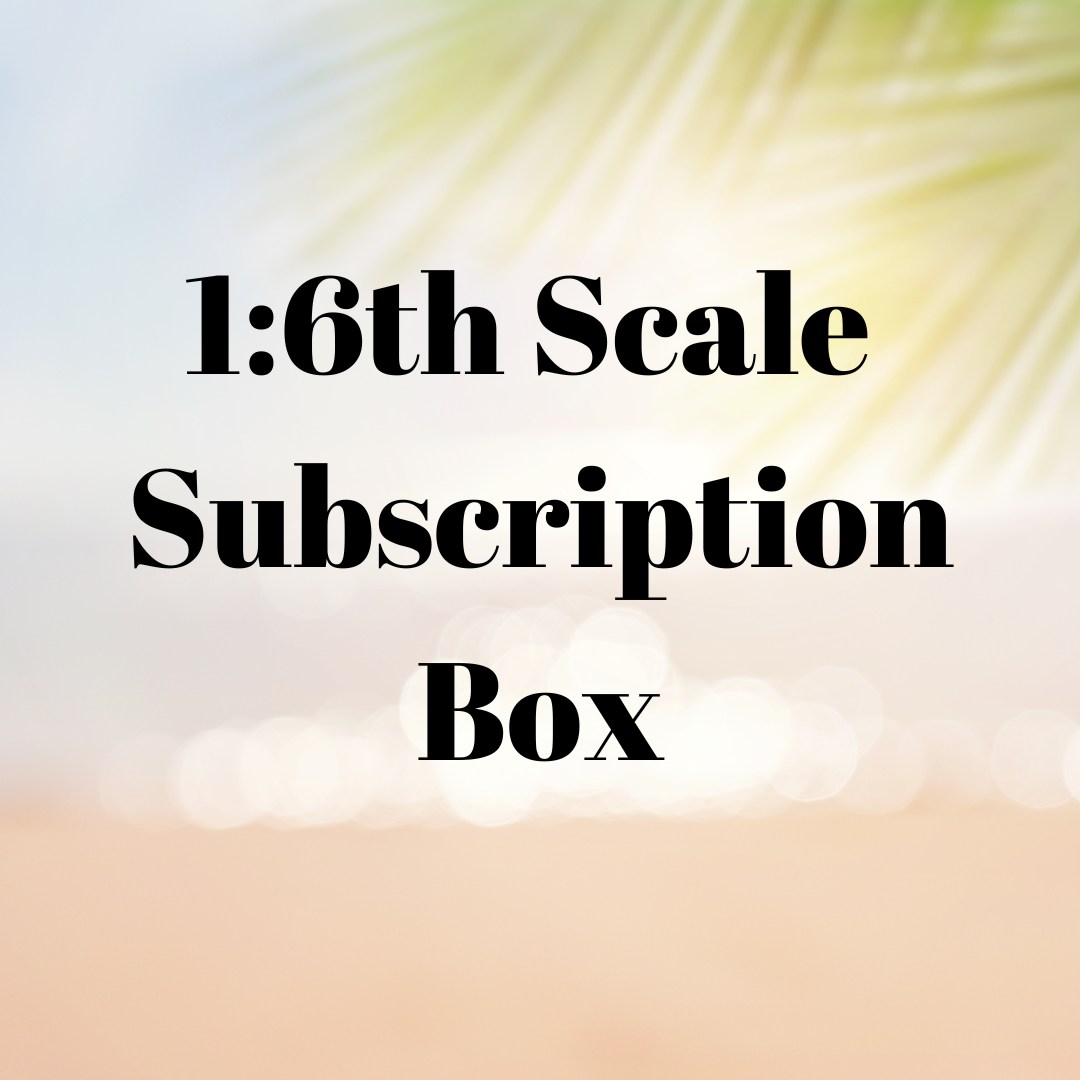 1:6 scale doll food subscription box featuring a variety of miniature gourmet items
