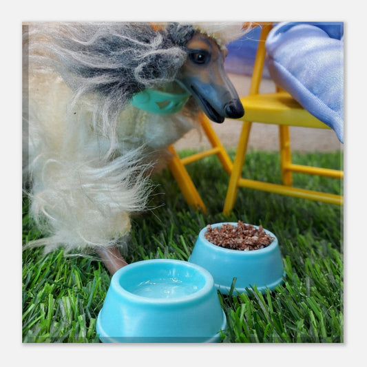 5fd6a365-0397-4aba-987d-ee84c254087a